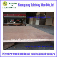 plywood(eucalyptus core)